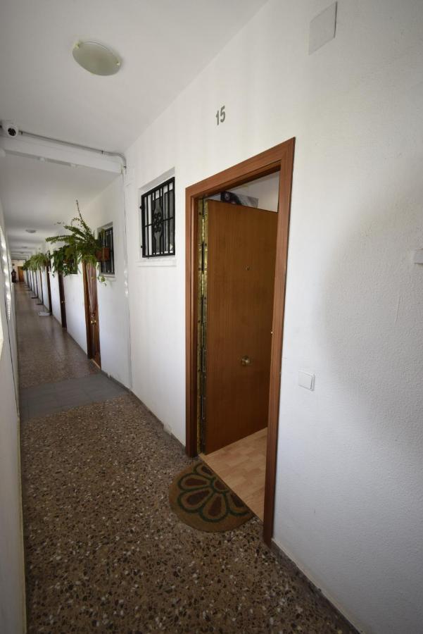 Comercial Lepanto - Fincas Arena Benidorm Eksteriør bilde